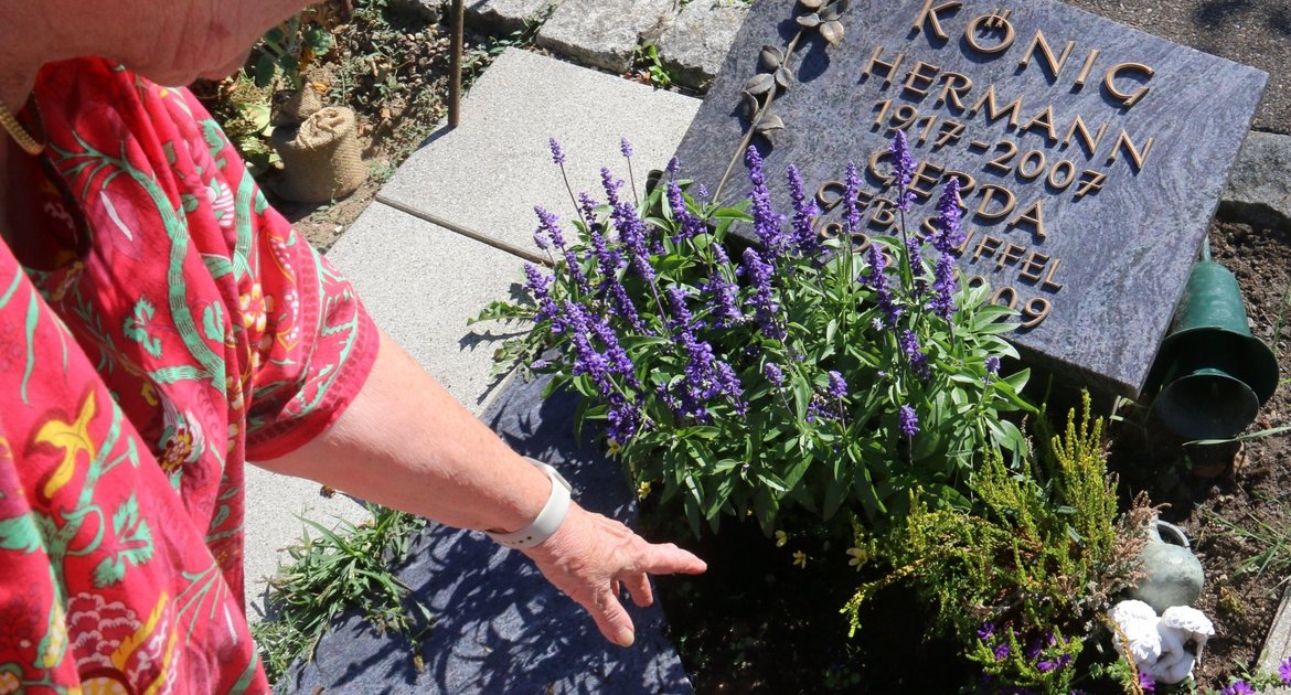 Friedhof Aurich Karola Schiele-König Grab Rehe Gräber Grabschmuck Fraß