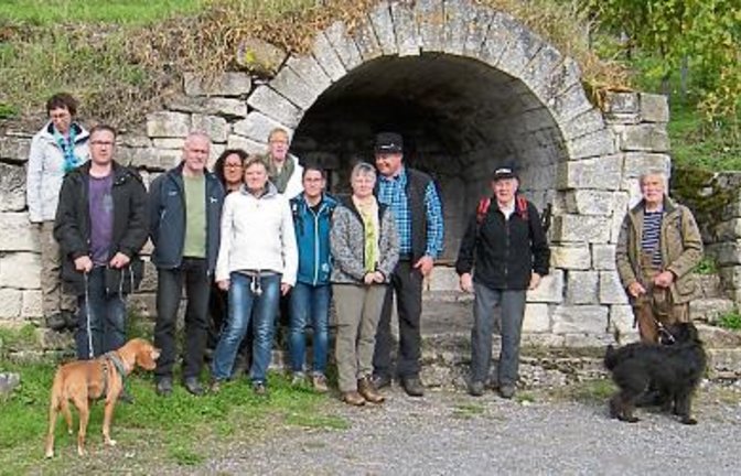 Die Albvereinsgruppe aus Hohenhaslach bei ihrer Tour. Foto: p