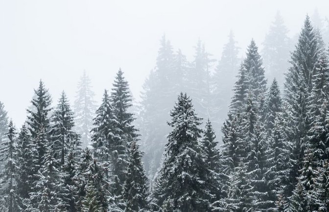 Erster Schnee wird diese Woche auf dem Feldberg erwartet (Archivbild).<span class='image-autor'>Silas Stein/dpa</span>