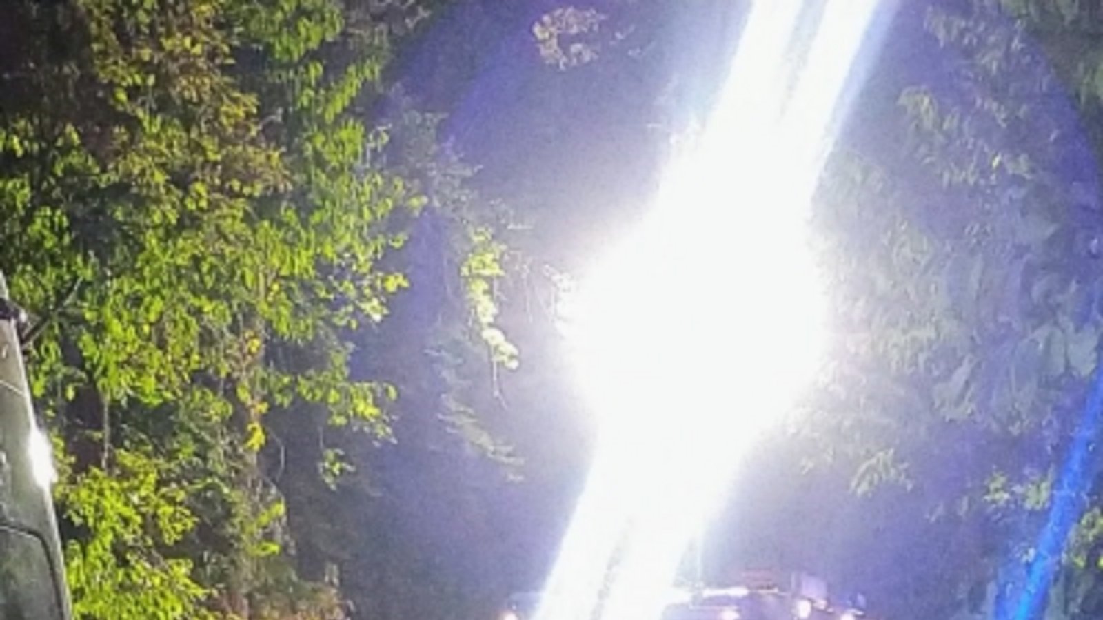Einsatz im Wald. ffw Einsatz im Wald. ffw
