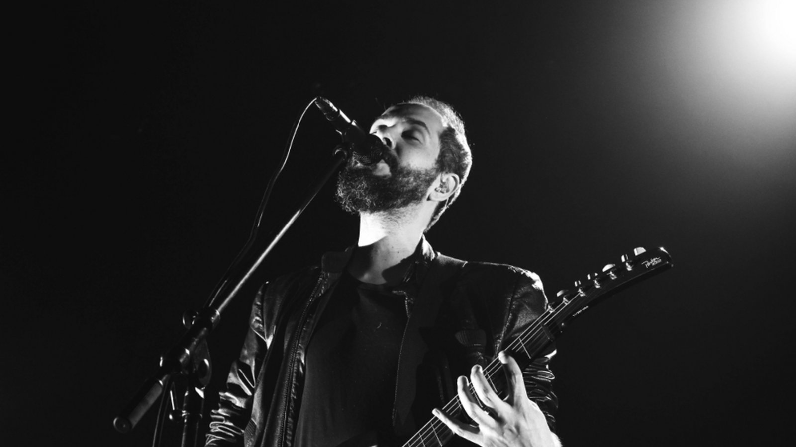 Dieses Jahr wieder live in Deutschland zu sehen.Foto: Naumova Ekaterina / shutterstock.com