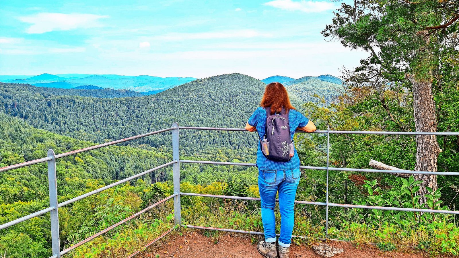 Von Burg Guttenberg sieht man weit über den Pfälzerwald.Foto: Günter Weinert Von Burg Guttenberg sieht man weit über den Pfälzerwald.Foto: Günter Weinert