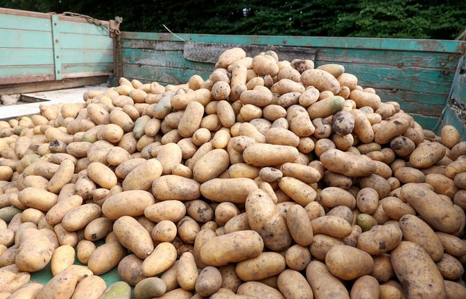 Ungünstige Witterungsbedingungen werden in diesem Jahr wohl für eine schlechte Ernte in Deutschland sorgen. (Symbolbild)<span class='image-autor'>Foto: imago/Rene Traut</span>