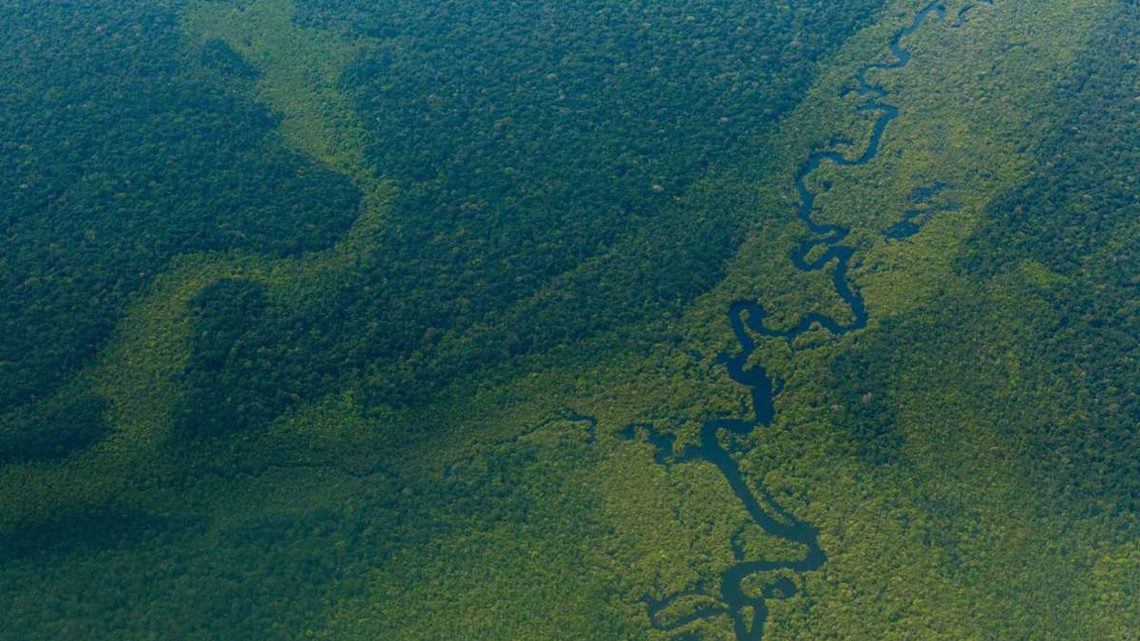 Amazonas: Es wird damit gerechnet, dass sich die Wahrscheinlichkeit für schwerwiegende Dürren in natürlichen Gebieten Brasiliens bei einer Erderwärmung um zwei Grad vervierfacht. Bei hohen Treibhausgasemissionen könnten Dürren und Waldbrände die Hälfte des Amazonas-Regenwaldes in Grasland verwandeln. (Bild: Luftblick auf den Wald im Amazonas nahe Sao Gabriel da Cachoeira).Foto: Diego Baravelli/dpa Amazonas: Es wird damit gerechnet, dass sich die Wahrscheinlichkeit für schwerwiegende Dürren in natürlichen Gebieten Brasiliens bei einer Erderwärmung um zwei Grad vervierfacht. Bei hohen Treibhausgasemissionen könnten Dürren und Waldbrände die Hälfte des Amazonas-Regenwaldes in Grasland verwandeln. (Bild: Luftblick auf den Wald im Amazonas nahe Sao Gabriel da Cachoeira).Foto: Diego Baravelli/dpa