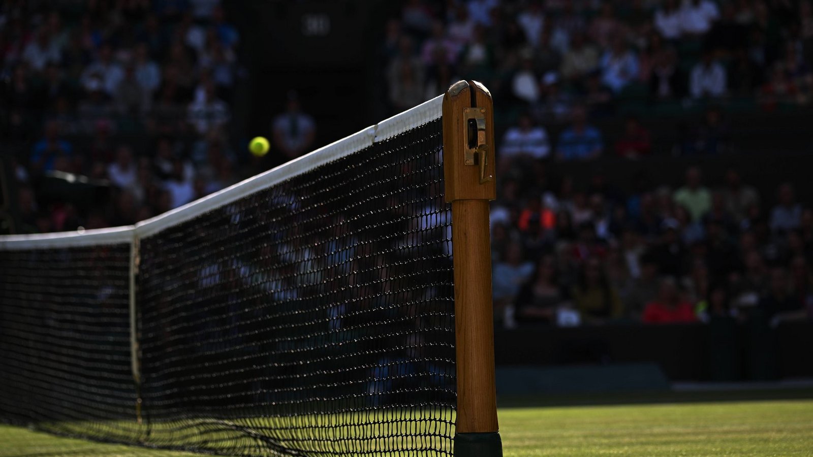 Jule Niemeier oder Tatjana Maria – wer bringt die Kugel öfters übers Netz in Wimbledon?Foto: imago/Paul /Zimmer