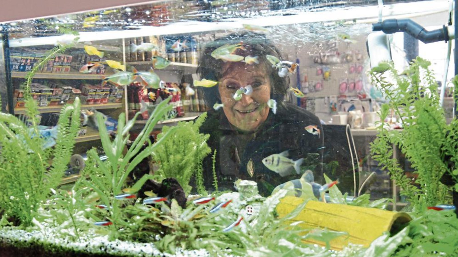 Claudia Prokosch blickt zu ihren Schützlingen im Aquarium, das im Bastelladen am Vaihinger Marktplatz steht.  Fotos: Rücker