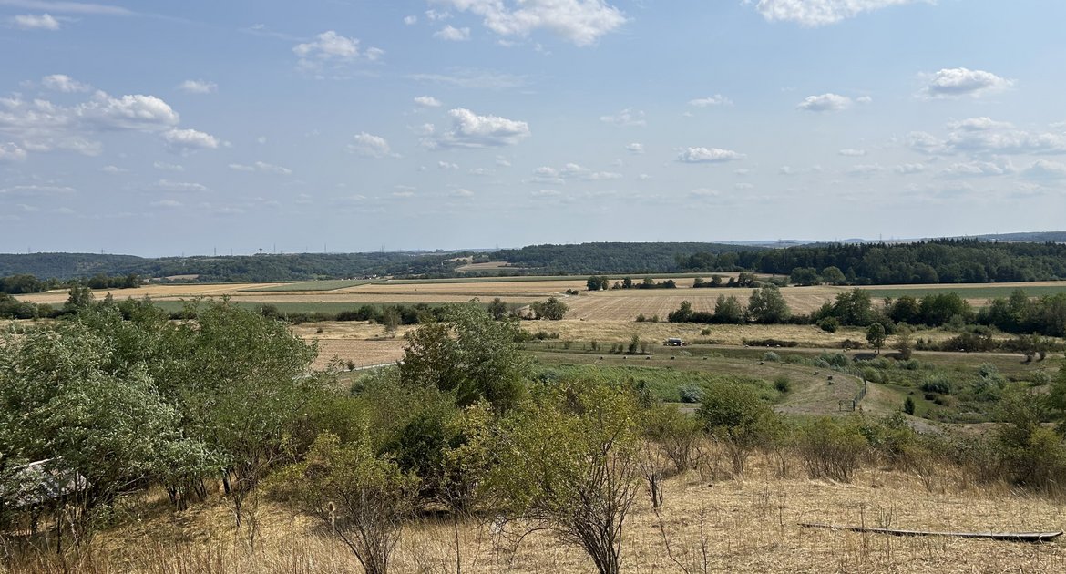 Gewerbegebiet Eichwald Sersheim Sachsenheim Blick vom Hügel Richtung Oberriexingen Modellierungshügel als ökologischer Ausgleich Panoramablick Foto: Mross