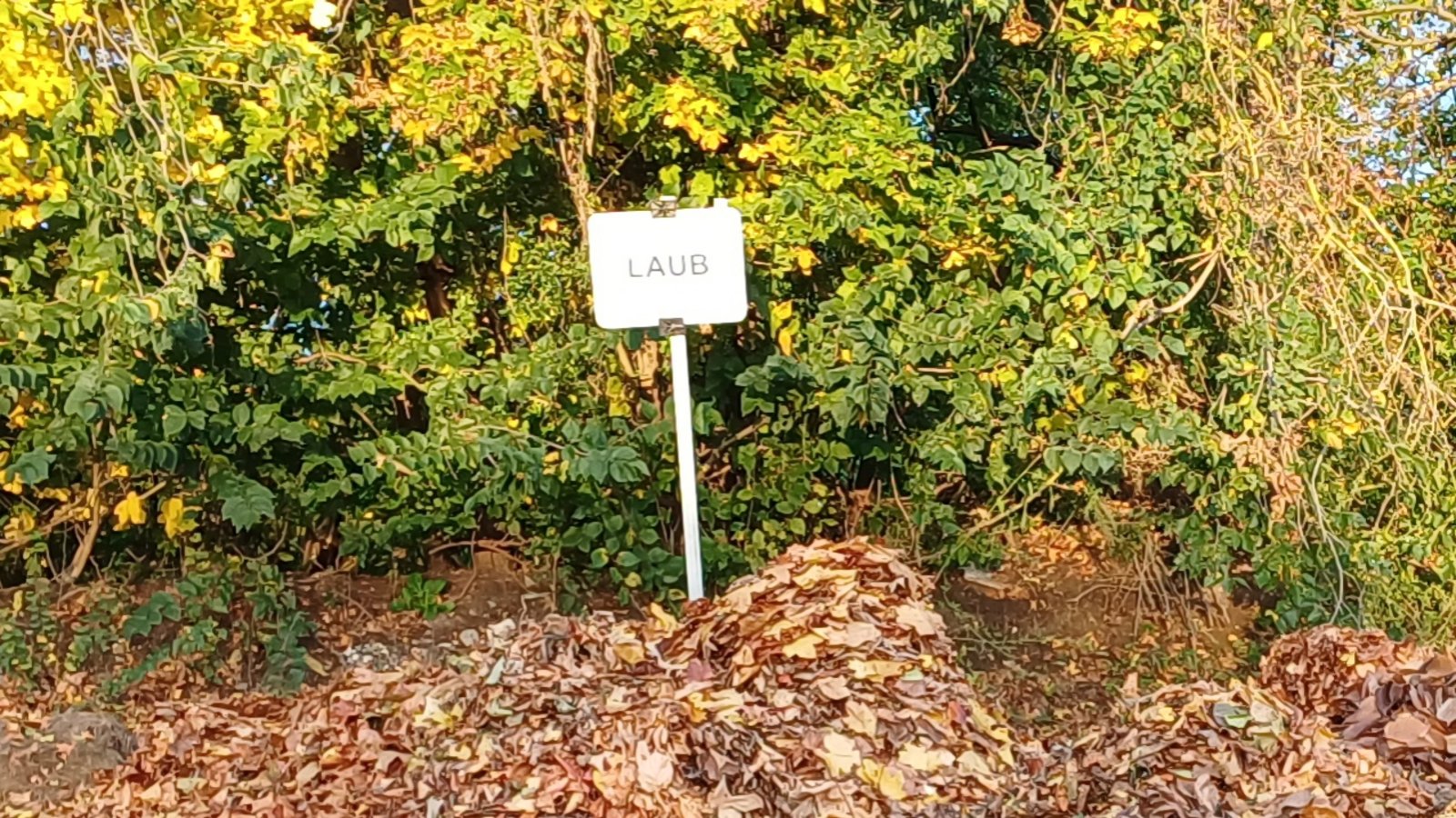 Wenn das „Laub“-Schild auf dem Häckselplatz steht, dann ist Herbst.  Foto: Rücker