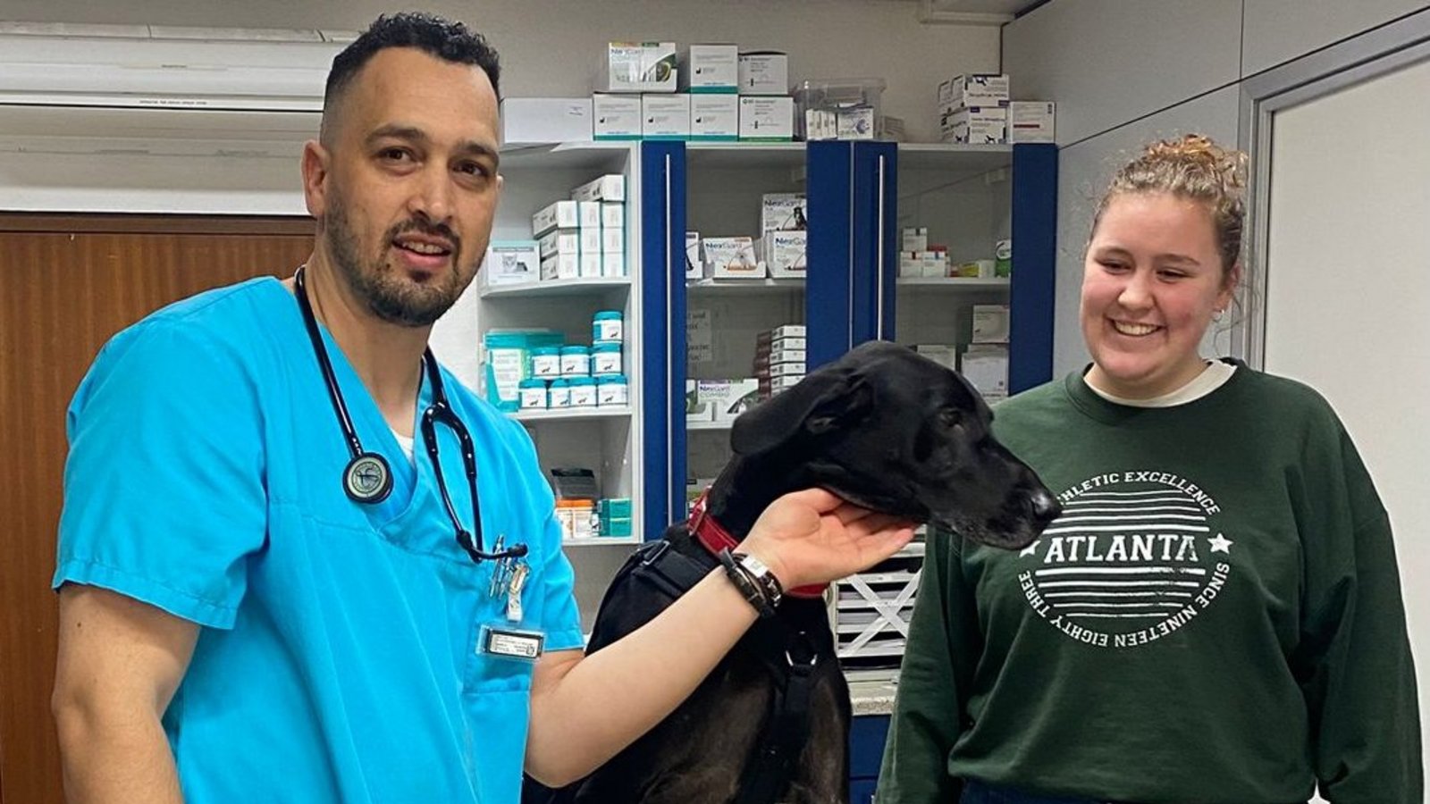 Wenn Hunde oder Katzen des Vaihinger Tierheims medizinische Hilfe benötigen, kümmert sich der Vaihinger Tierarzt Halim Khelladi darum. Foto: Petzold Wenn Hunde oder Katzen des Vaihinger Tierheims medizinische Hilfe benötigen, kümmert sich der Vaihinger Tierarzt Halim Khelladi darum. Foto: Petzold