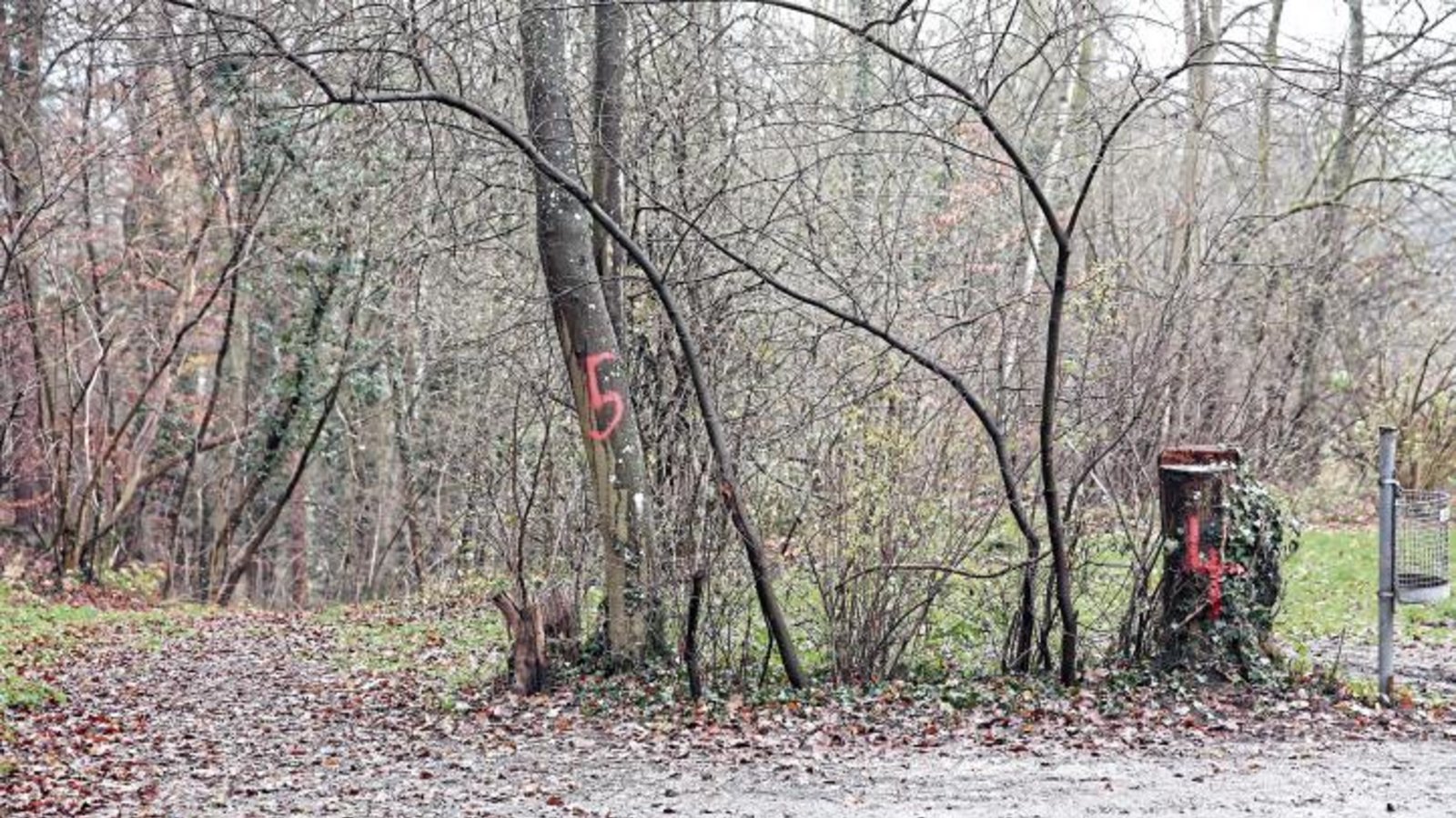 Am Parkplatz an der L1125 auf Großglattbacher Markung waren am Dienstag Kriminaltechniker zugange gewesen. Die Zahlen deuten möglicherweise noch darauf hin. Foto: Küppers Am Parkplatz an der L1125 auf Großglattbacher Markung waren am Dienstag Kriminaltechniker zugange gewesen. Die Zahlen deuten möglicherweise noch darauf hin. Foto: Küppers