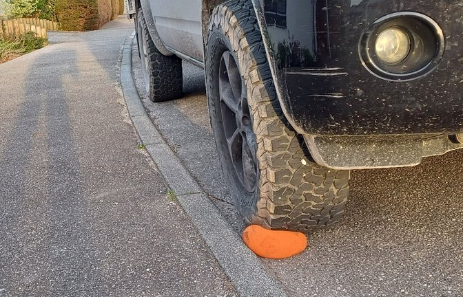 Frei nach dem Motto: Jetzt aber mal schön den Ball flachhalten. <span class='image-autor'>Foto: Rücker</span>