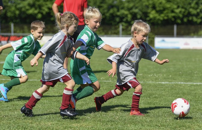 In Großglattbach messen sich die Bambini der Gastgeber (graue Trikots) mit denen des SV Iptingen. Tore werden allerdings noch nicht gezählt. <span class='image-autor'>Foto: Leitner</span>