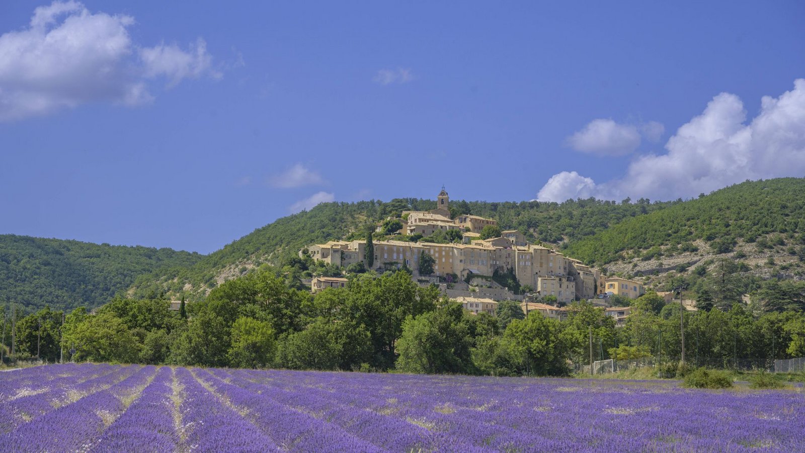 Erinnern Sie sich an diesen Geruch? Lavendelfeld und dahinter der Ort Banon, Alpes-de-Haute-ProvenceFoto: Imago/Imagebroker Erinnern Sie sich an diesen Geruch? Lavendelfeld und dahinter der Ort Banon, Alpes-de-Haute-ProvenceFoto: Imago/Imagebroker