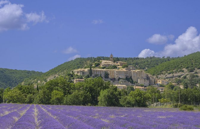 Erinnern Sie sich an diesen Geruch? Lavendelfeld und dahinter der Ort Banon, Alpes-de-Haute-Provence<span class='image-autor'>Foto: Imago/Imagebroker</span>