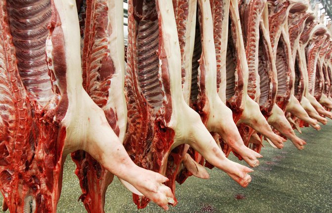 Die Schlachtmenge beim Schweinefleisch verzeichnete einen Rückgang von 8 Prozent. (Symbolfoto)<span class='image-autor'>Foto: dpa/Ronald Wittek</span>