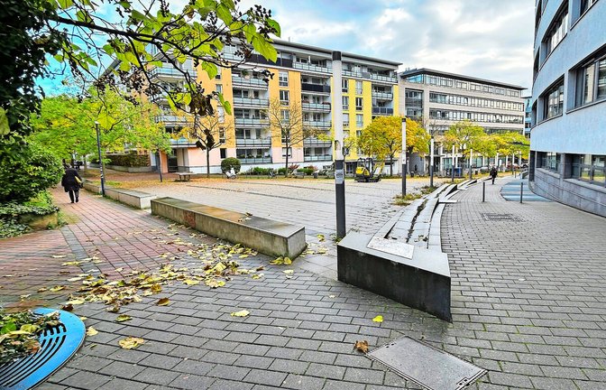 Auf diesem Platz soll bald Stuttgarts erster Miniwald wachsen.<span class='image-autor'>Foto: Stadt Stuttgart</span>