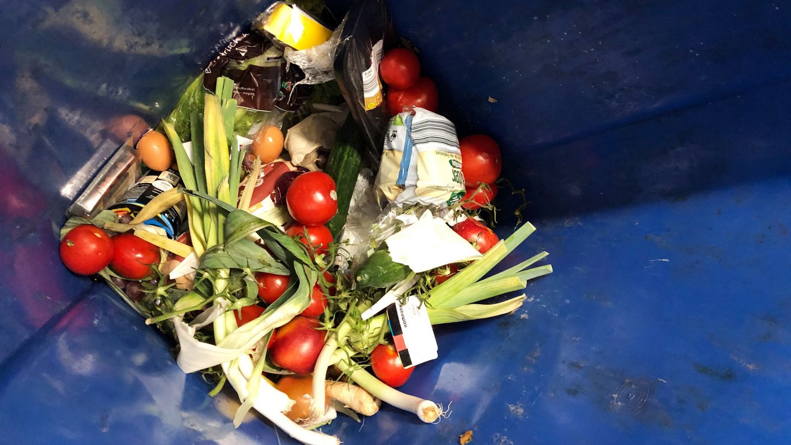 Weggeworfene Lebensmittel liegen in einer Mülltonne. Die SPD will dafür sorgen, dass niemand mehr dafür bestraft wird, dass er noch genießbare Lebensmittel aus Abfallcontainern holt.Foto: dpa/Christiane Raatz