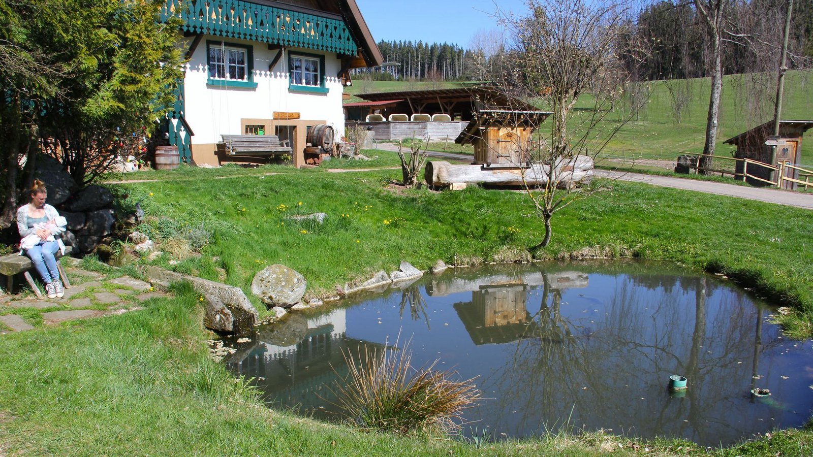 Die Brigach entspringt im Keller des Hirzbauernhofs. Im Weiher vor dem Hof tritt sie erstmals an die Öffentlichkeit.Foto: Uli Fricker Die Brigach entspringt im Keller des Hirzbauernhofs. Im Weiher vor dem Hof tritt sie erstmals an die Öffentlichkeit.Foto: Uli Fricker