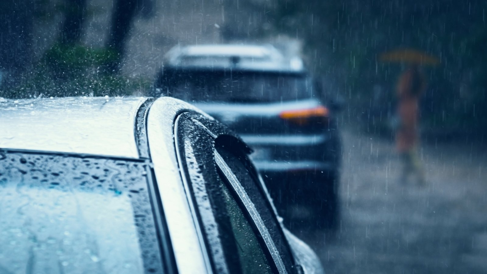 Aktuelle Unwetterwarnung für Baden-Württemberg: Sturm, Dauerregen und Schnee sorgen für extreme Wetterbedingungen.Foto: Aleksei Ignatov / Shutterstock.com