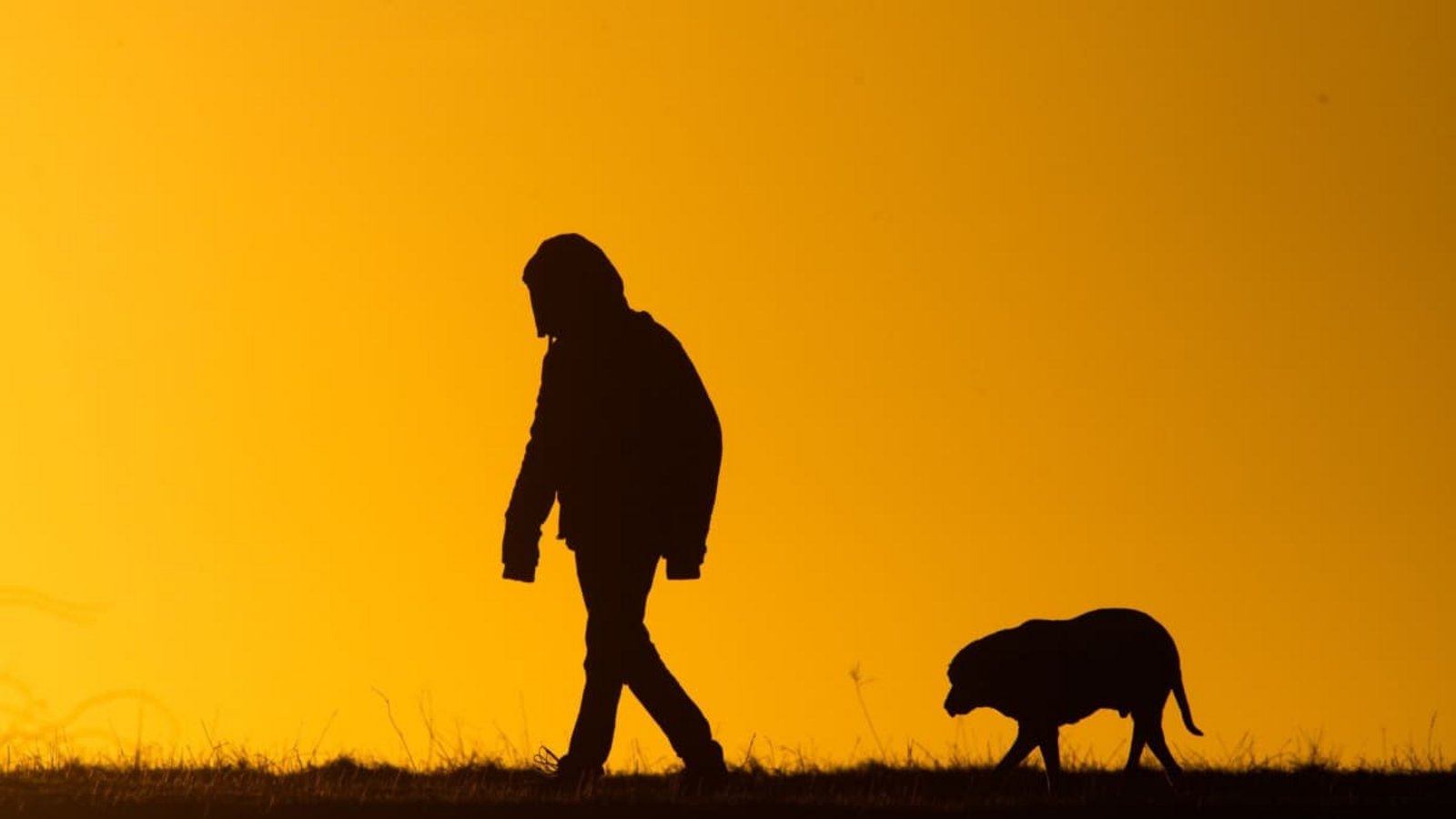 Eine junge Spaziergängerin war am Montagabend bei Bad Waldsee mit ihrem Hund unterwegs, als sie von drei Männern angegriffen worden sein soll. Die Polizei ermittelt und bittet um Hinweise.Julian Stratenschulte/dpa Eine junge Spaziergängerin war am Montagabend bei Bad Waldsee mit ihrem Hund unterwegs, als sie von drei Männern angegriffen worden sein soll. Die Polizei ermittelt und bittet um Hinweise.Julian Stratenschulte/dpa