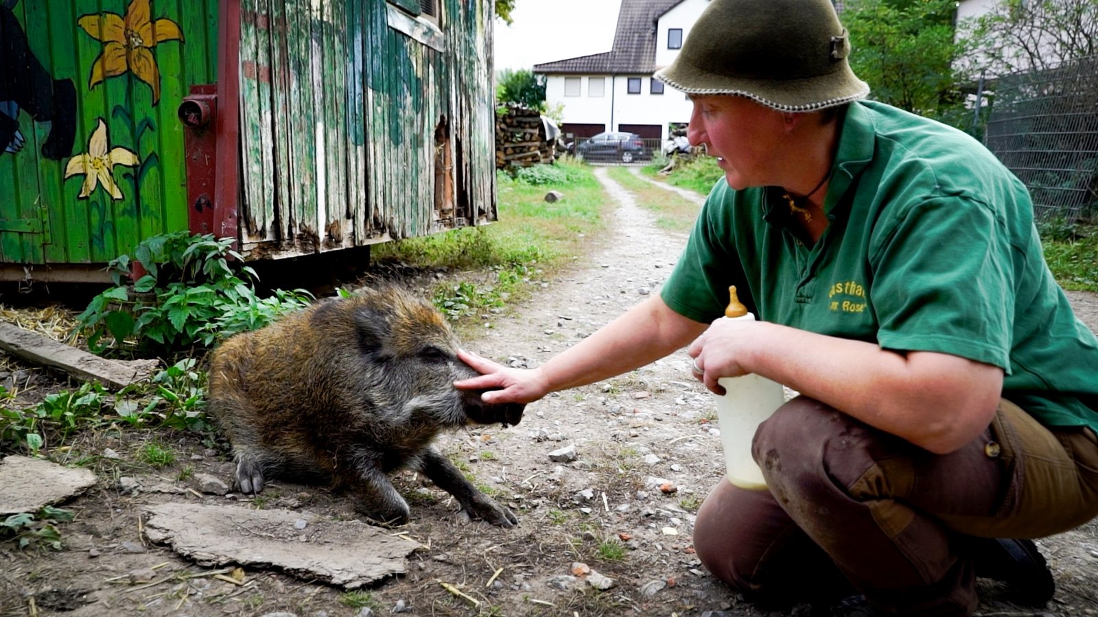 Fred ist als verletzter Frischling zu den Kärchers nach Mühlhausen gekommen. Fotos: Recken