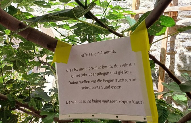 Eine höfliche Bitte an die Feigen-Freunde, gesehen in Vaihingen.  <span class='image-autor'>Foto: Rücker</span>
