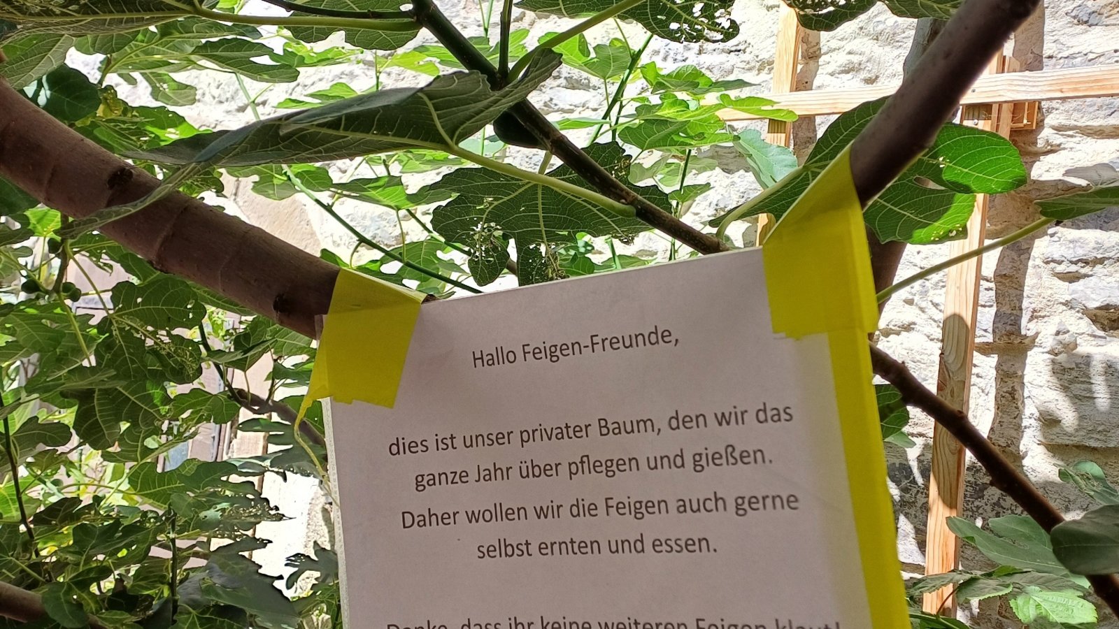 Eine höfliche Bitte an die Feigen-Freunde, gesehen in Vaihingen.  Foto: Rücker