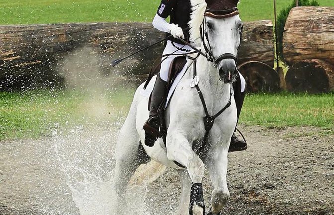 Für Fair Play von Greta Faust aus Oberriexingen stellt das Wasser kein Problem dar.   Fotos: Küppers