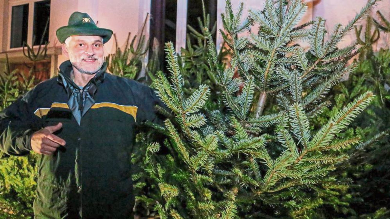 Förster und Auktionator Rolf Esslinger weiß, wie sich ein hübscher Baum zu Geld machen lässt. Foto: Jansen Förster und Auktionator Rolf Esslinger weiß, wie sich ein hübscher Baum zu Geld machen lässt. Foto: Jansen