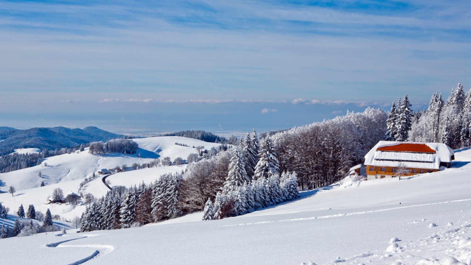 Im Schwarzwald gibt es wieder viel Neuschnee.Foto: Tsisha / shutterstock.com Im Schwarzwald gibt es wieder viel Neuschnee.Foto: Tsisha / shutterstock.com