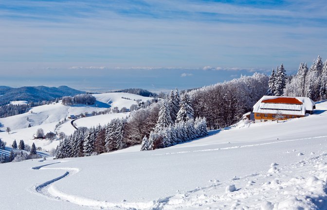 Im Schwarzwald gibt es wieder viel Neuschnee.<span class='image-autor'>Foto: Tsisha / shutterstock.com</span>