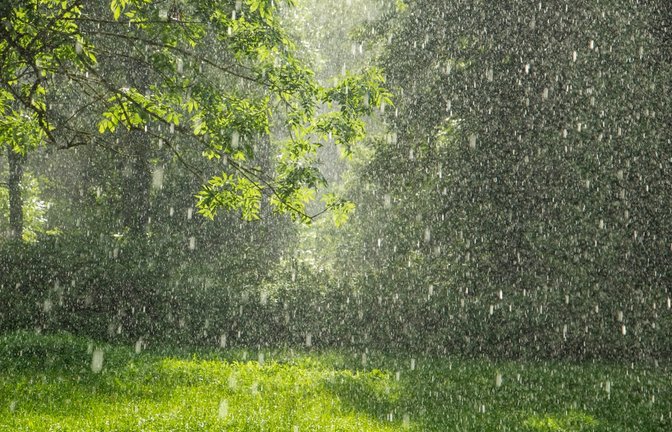 Wie riecht Regen? Die Antwort: Petrichor.<span class='image-autor'>Foto: AYO Production/ Shutterstock</span>