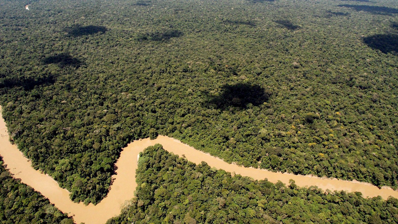 Der Regenwald in Ecuador ist schon lange bedroht. Doch es gibt Hoffnung.Foto: picture alliance / dpa