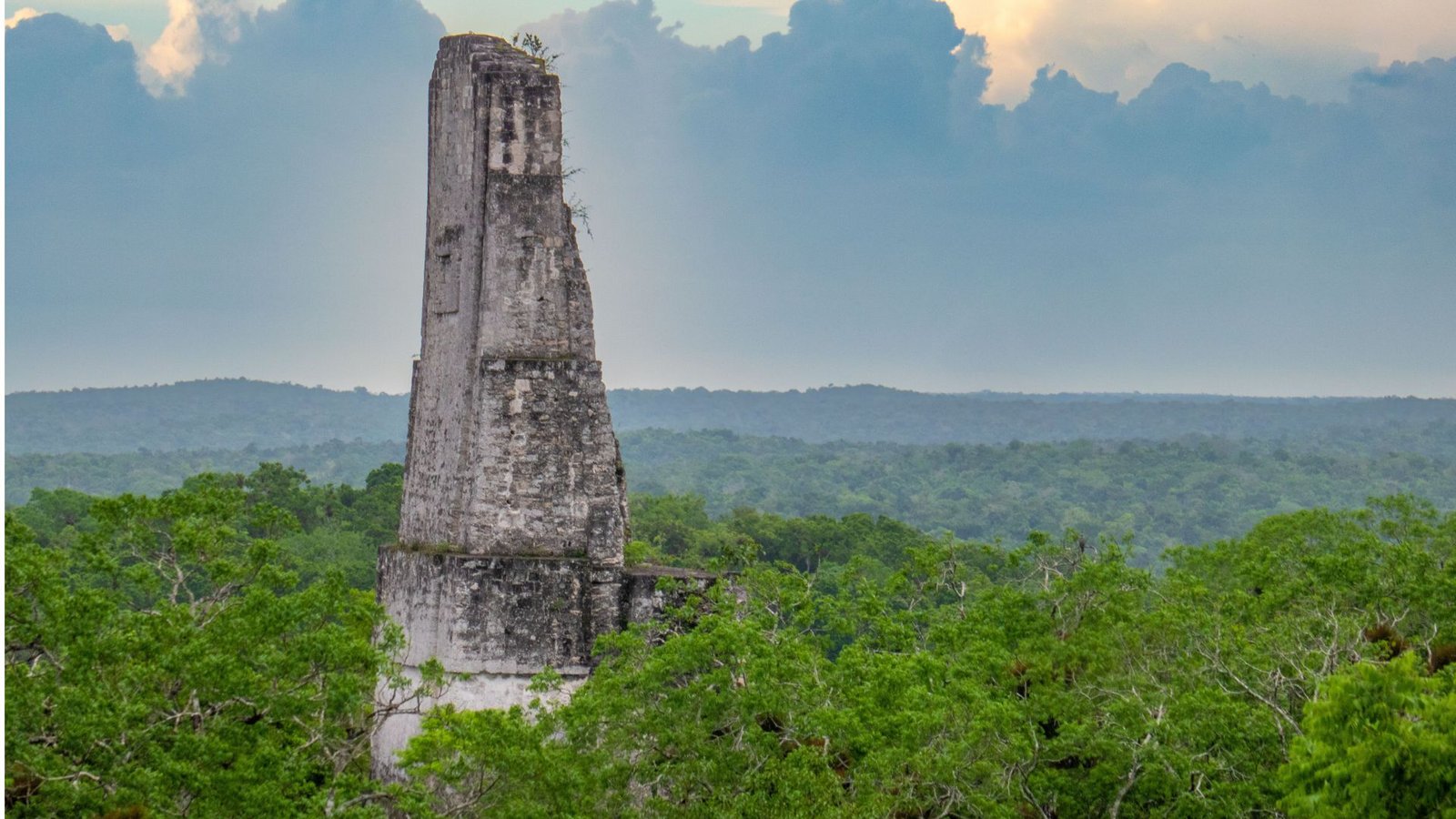 Ein Tempelrelikt der untergegangenen Maya-Metropole Tikal ragt aus dem Dschungel Guatemalas.Foto: Imago/Wirestock