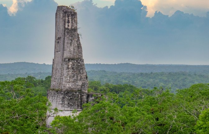 Ein Tempelrelikt der untergegangenen Maya-Metropole Tikal ragt aus dem Dschungel Guatemalas.<span class='image-autor'>Foto: Imago/Wirestock</span>