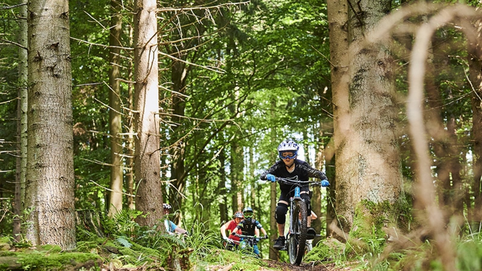 Legal und konfliktfrei auf zwei Rädern und auf ausgewiesenen Pfaden im Wald unterwegs: Eine neu gegründete Initiative und eine Lenkungsgruppe kümmern sich um die Ausweisung eines überregionalen Trailnetzes. Foto: Jens Wegener Legal und konfliktfrei auf zwei Rädern und auf ausgewiesenen Pfaden im Wald unterwegs: Eine neu gegründete Initiative und eine Lenkungsgruppe kümmern sich um die Ausweisung eines überregionalen Trailnetzes. Foto: Jens Wegener
