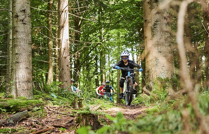 Legal und konfliktfrei auf zwei Rädern und auf ausgewiesenen Pfaden im Wald unterwegs: Eine neu gegründete Initiative und eine Lenkungsgruppe kümmern sich um die Ausweisung eines überregionalen Trailnetzes.  <span class='image-autor'>Foto: Jens Wegener</span>