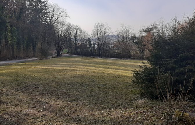 Auf einer Freifläche beim Kriegerdenkmal vor den Toren Sersheims soll ab Oktober ein Waldkindergarten seinen Betrieb aufnehmen. <span class='image-autor'>Foto: mig</span>
