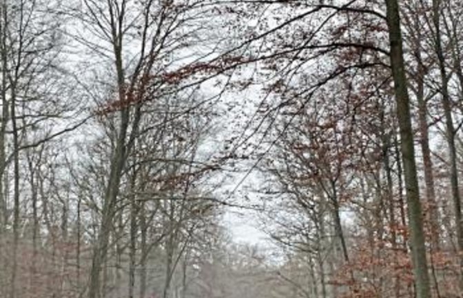 Neu hergestellte Fahrbahn zwischen Sachsenheim und Hohenhaslach. Foto: p