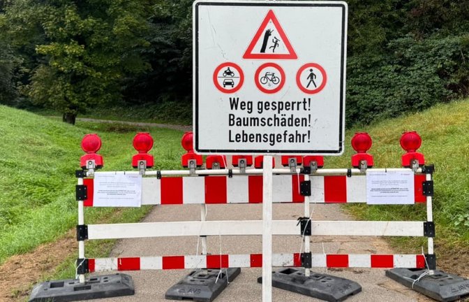 „Baumschäden! Lebensgefahr!": Die Absperrung am Neckarradweg, hier nahe der Gemarkungsgrenze zwischen Fellbach-Oeffingen und Stuttgart-Hofen<span class='image-autor'>Landratsamt</span>