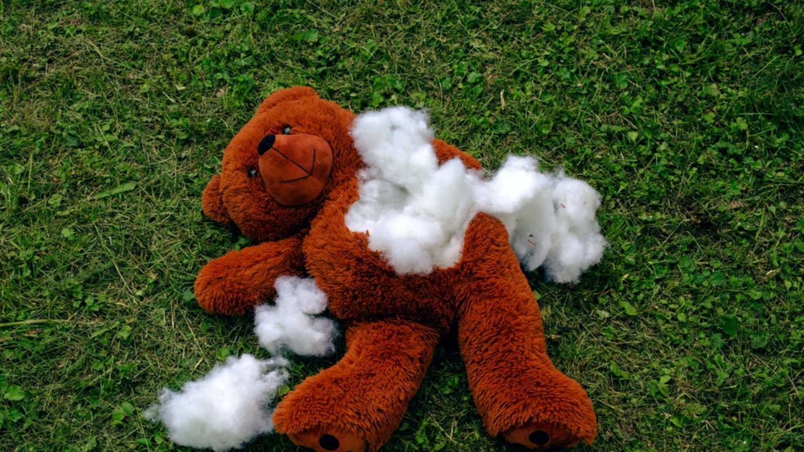 Wohin mit kaputten Stofftieren?Foto: wernimages / shutterstock.com Wohin mit kaputten Stofftieren?Foto: wernimages / shutterstock.com
