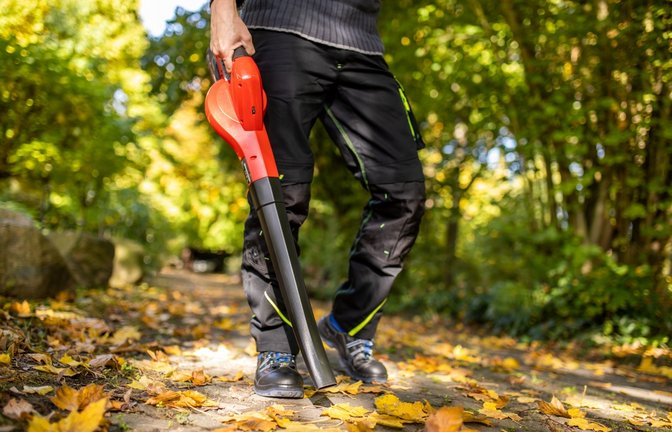 Achtung, der Laubbläser darf nur zu diesen Zeiten zum Einsatz kommen.<span class='image-autor'>Foto: Stefan Werner / shutterstock.com</span>