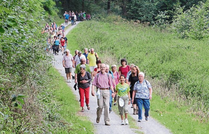 239 Teilnehmer ließen sich von unsicheren Wetterprognosen nicht schrecken und nahmen die zehn Kilometer von Vaihingen nach Oberriexingen zu Fuß in Angriff. Dafür wurden sie mit angenehmen Temperaturen belohnt.  Fotos: Banholzer