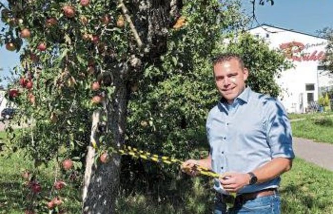 Der Bürgermeister gibt das Obst frei.  Foto: p