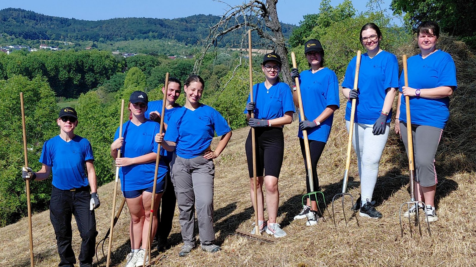 Die Teilnehmer räumen gemeinsam Mahdgut von naturschutzwichtigen Flächen ab. Foto: Landratsamt Ludwigsburg Die Teilnehmer räumen gemeinsam Mahdgut von naturschutzwichtigen Flächen ab. Foto: Landratsamt Ludwigsburg