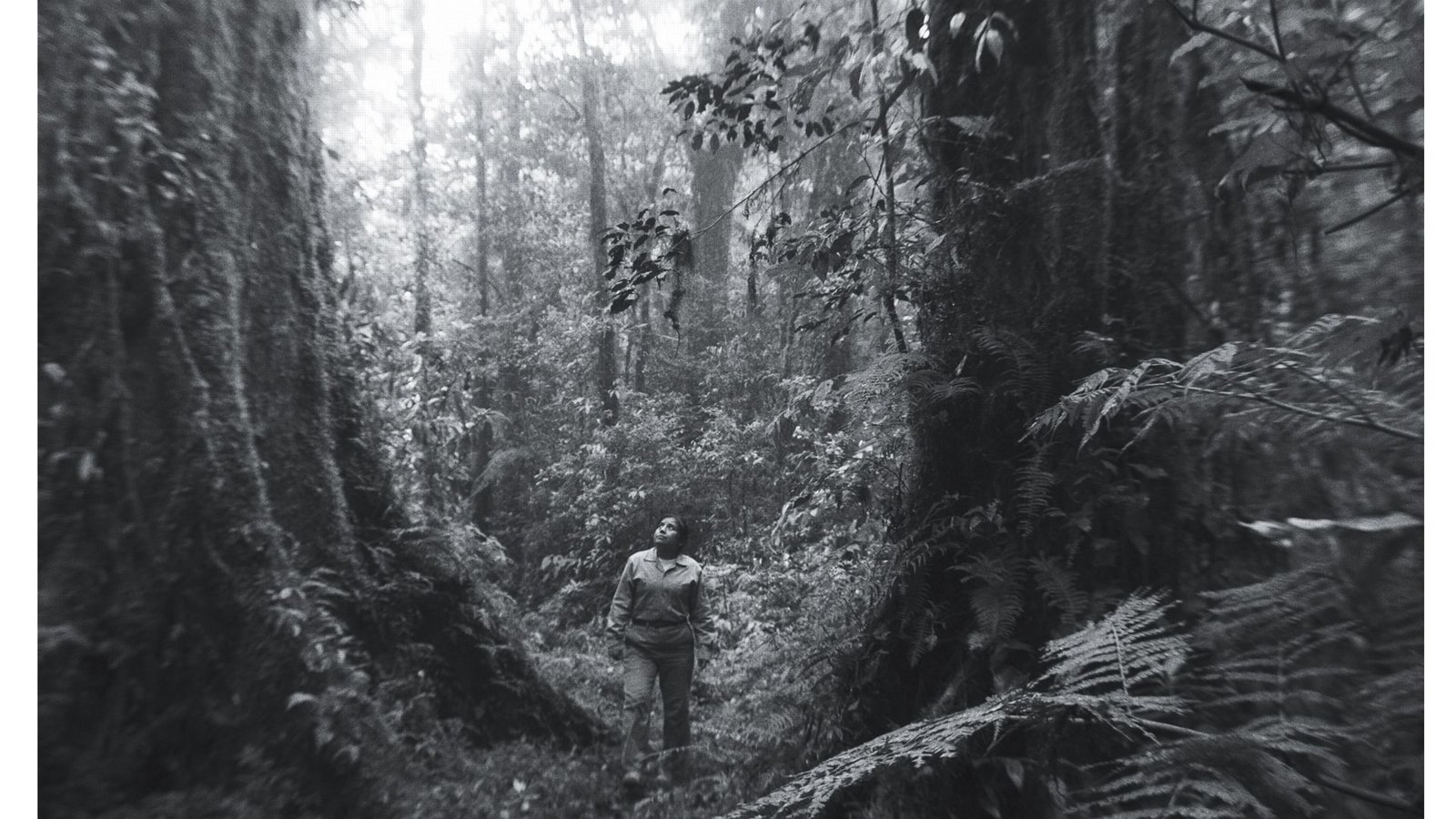 Szene aus „La reserva“, Spielfilm von Pablo Pérez Lombardini, Mexiko/Katar 2025Foto: Cinelatino