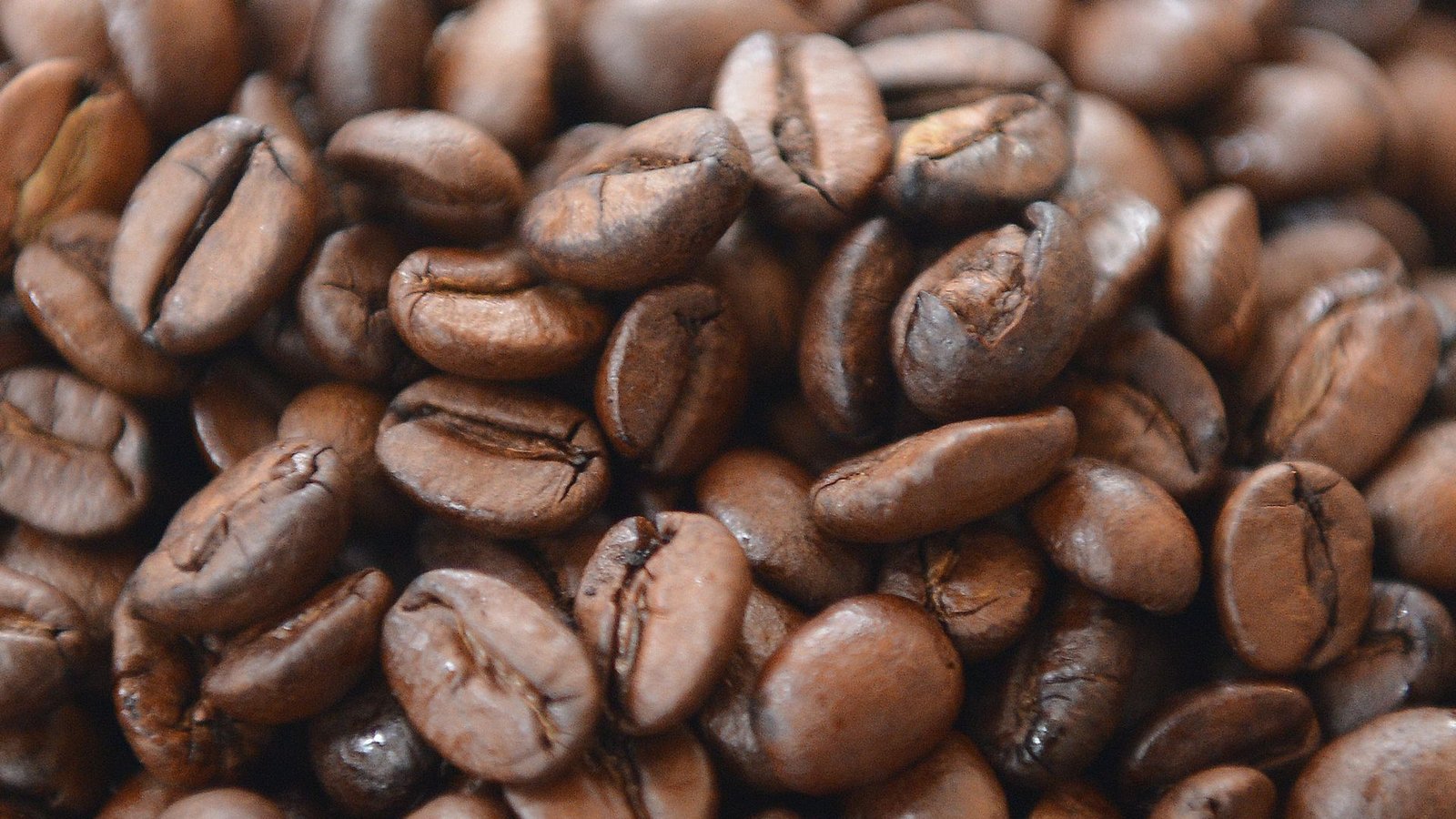 Lieben Sie Kaffee? Dann sind Sie hier genau richtig!Foto: dpa