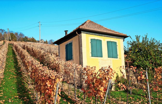 Weinberghäuschen bei Heilbronn.<span class='image-autor'>Foto: Frank Walter Schilling</span>