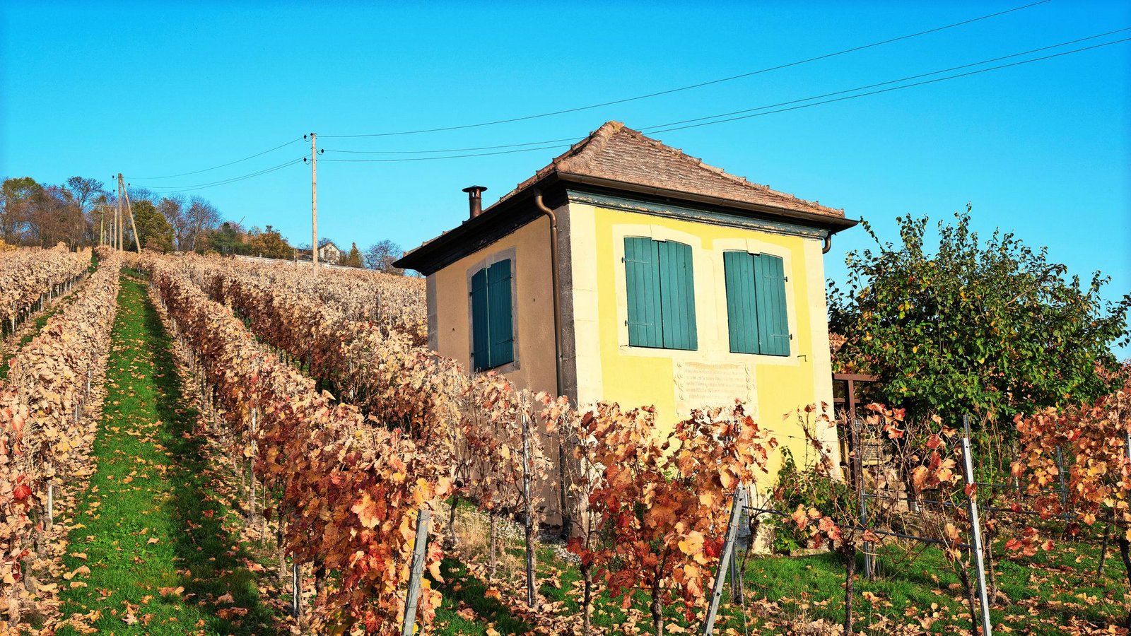 Weinberghäuschen bei Heilbronn.Foto: Frank Walter Schilling