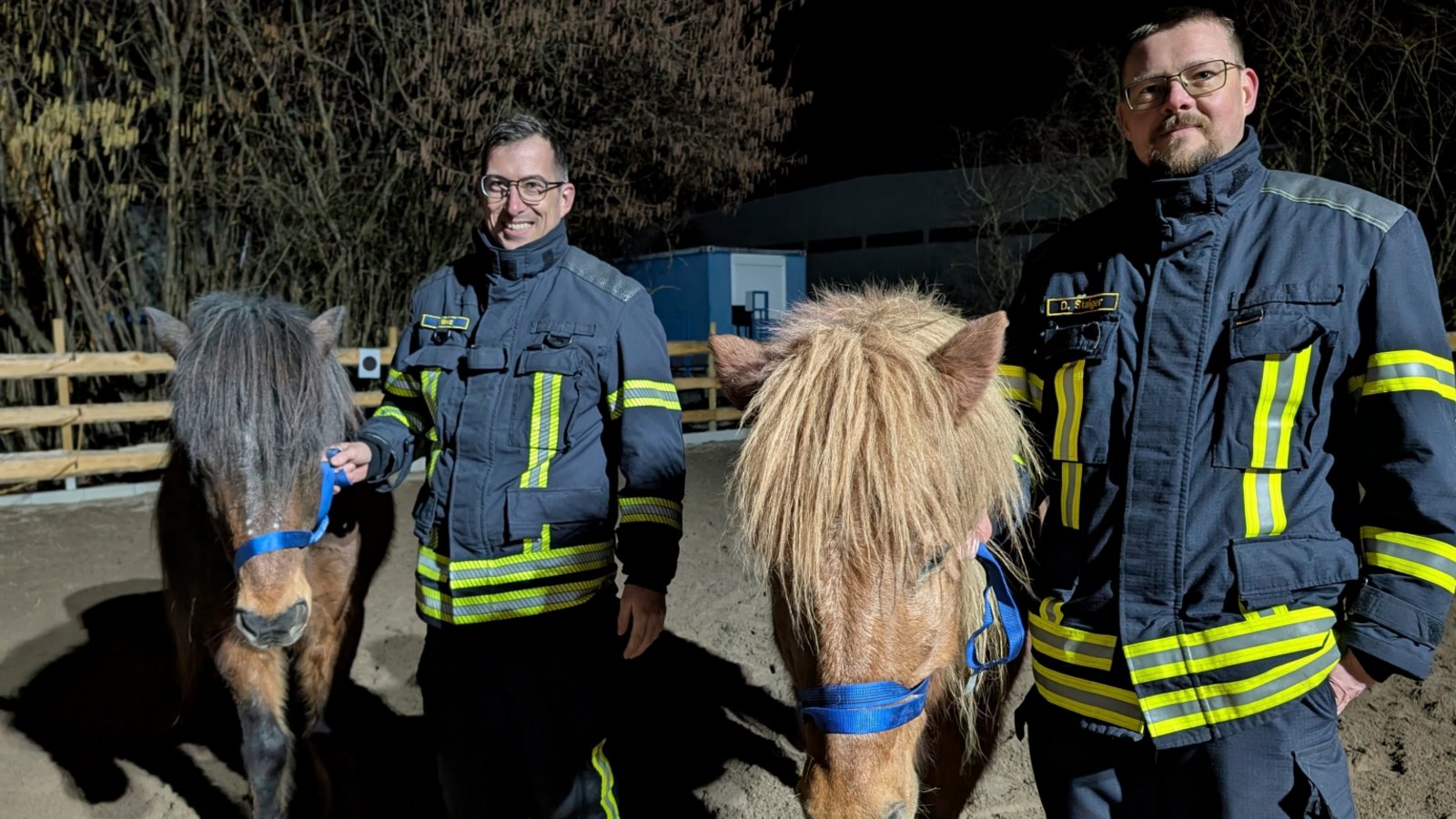 Feuerwehrmänner als Pferdeflüsterer im Einsatz.  Fotos: p
